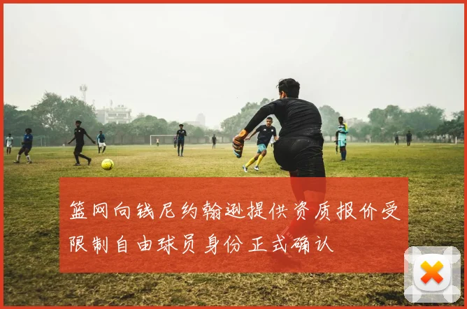 篮网向钱尼约翰逊提供资质报价受限制自由球员身份正式确认