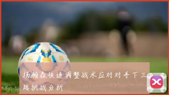 杨瀚森快速调整战术应对对手下三路挑战分析
